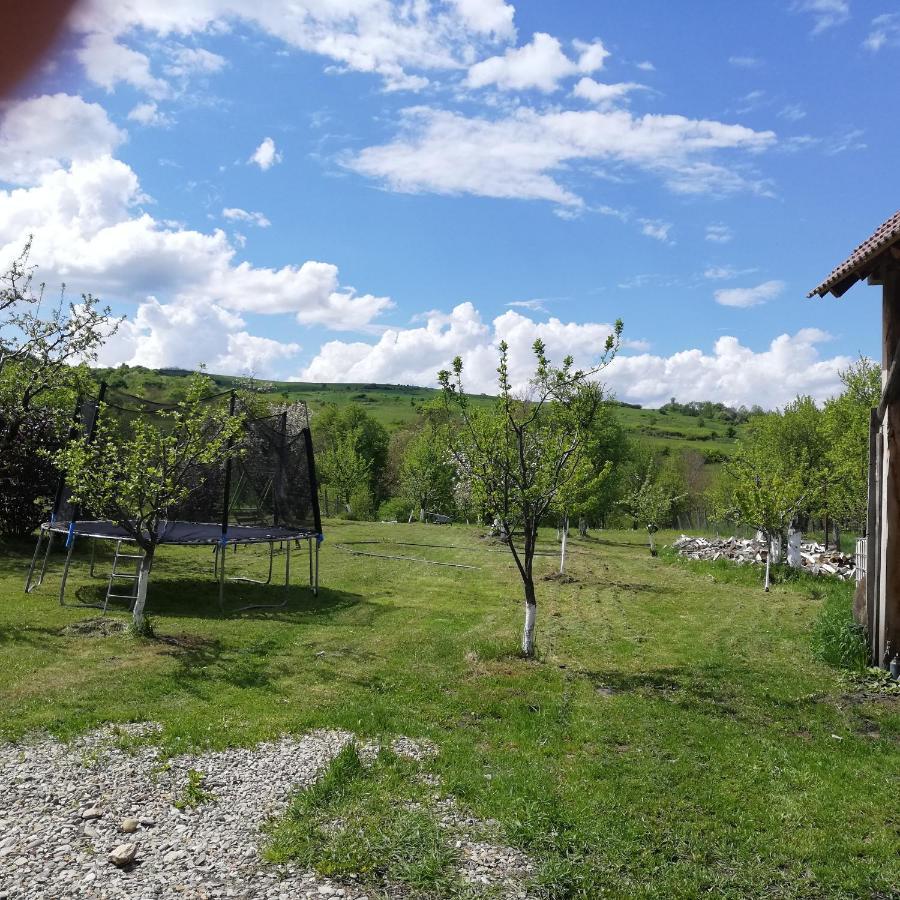 Casa din Barcut Guest House Exterior foto