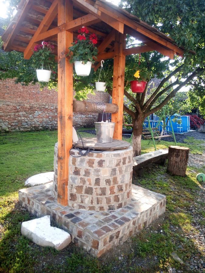 Casa din Barcut Guest House Exterior foto