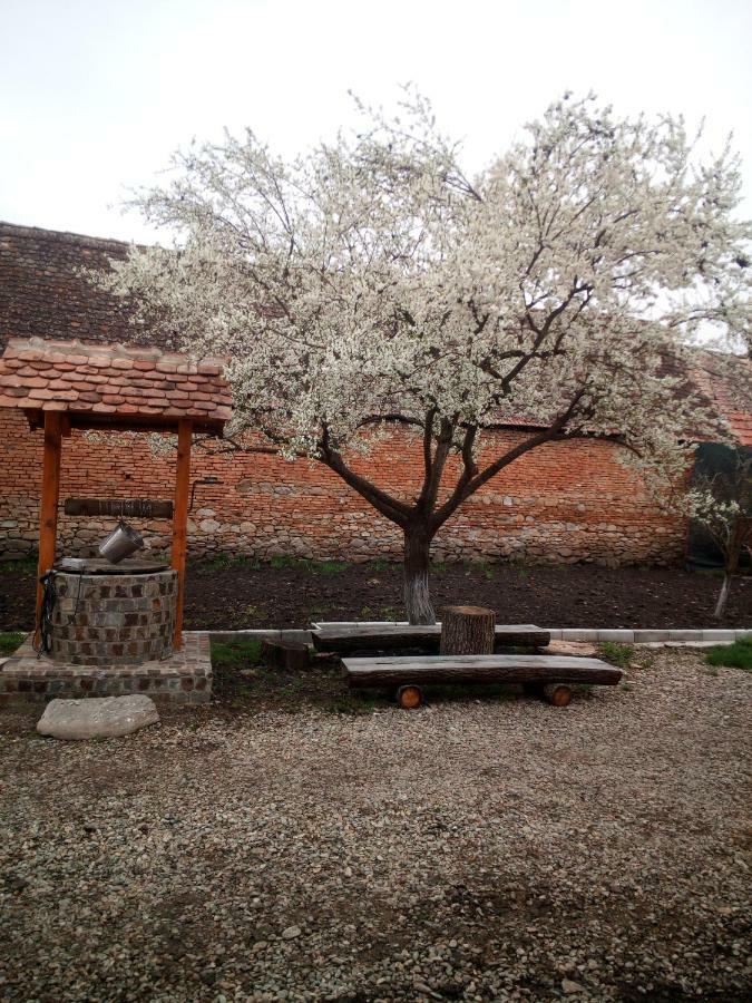 Casa din Barcut Guest House Exterior foto